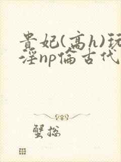 贵妃(高h)玩淫np伦古代