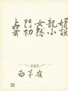 上门女龙婿叶辰萧初然小说
