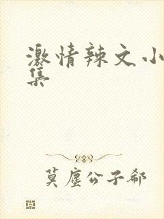激情辣文小说合集