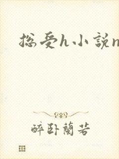 总受h小说np