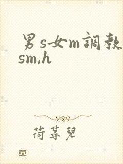 男s女m调教(sm,h