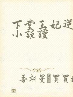 下堂王妃逆袭记小说读封面