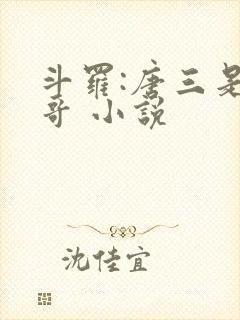 斗罗:唐三是我哥 小说