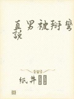 直男被掰弯的小说封面