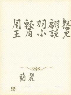 周轻羽翩然仙子主角小说免费阅读下载