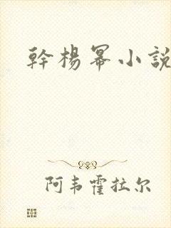 干杨幂小说