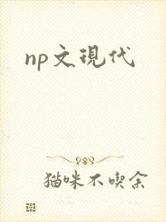 np文现代
