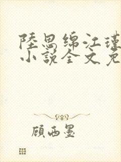 陆思绵江瑾墨的小说全文免费封面