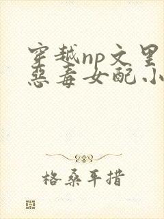 穿越np文里的恶毒女配小说