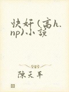 快奸 (高h.np)小说