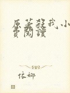 原著杀我小说免费阅读封面