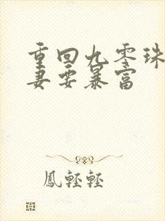 重回九零珠光宝妻要暴富
