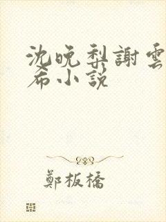 沈晚梨谢云迟叶希小说封面