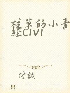 校草的小青梅不经C1V1封面