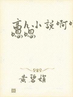 高h小说啊啊啊嗯嗯封面