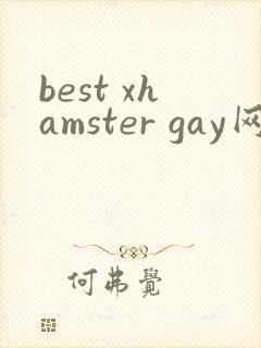 best xhamster gay网站