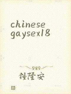 chinesegaysex18