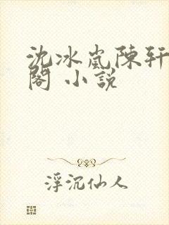 沈冰岚陈轩笔趣阁 小说