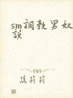sm调教男奴小说