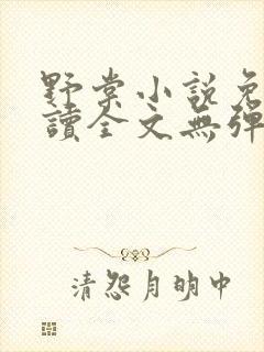 野棠小说免费阅读全文无弹窗封面