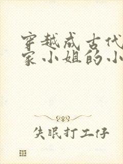 穿越成古代的大家小姐的小说封面