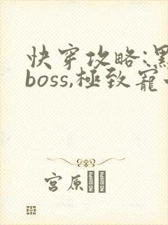 快穿攻略:黑化boss,极致宠七片封面