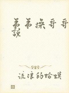 弟弟操哥哥的小说