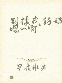 别揉我的奶头 嗯~啊