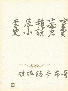 李辰赵蕊穿越历史小说免费阅读封面