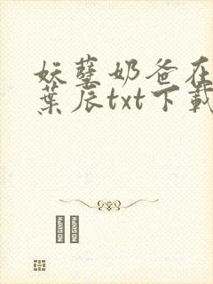 妖孽奶爸在都市叶辰txt下载