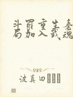 斗罗重生秦明开局加入武魂殿免费阅读封面