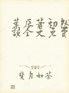 叶辰萧初然的小说全文免费阅读