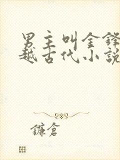 男主叫金锋的穿越古代小说
