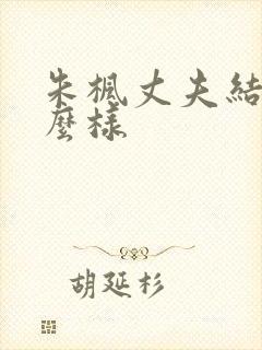 朱枫丈夫结局怎么样