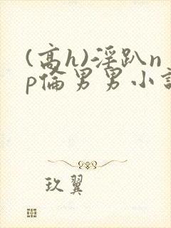 (高h)淫趴np伦男男小说封面