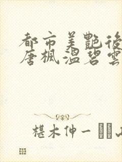 都市美艳后宫(唐枫温碧云)封面