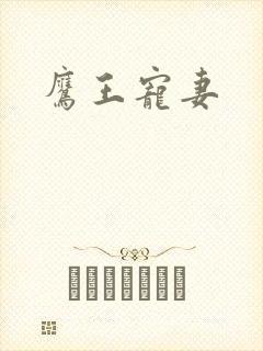 鹰王宠妻