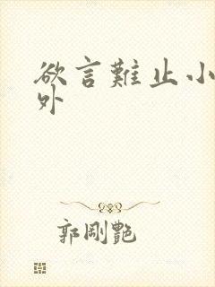 欲言难止小说番外封面
