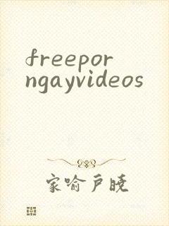freeporngayvideos