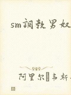 sm调教男奴文