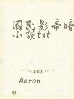 国民影帝暗恋我小说txt