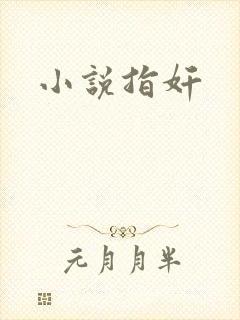 小说指奸