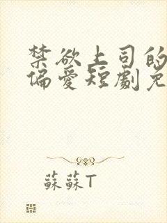 禁欲上司的专属偏爱短剧免费观看