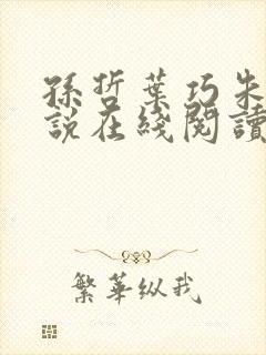 孙哲叶巧朱颜小说在线阅读