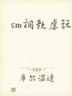 sm调教虐玩文