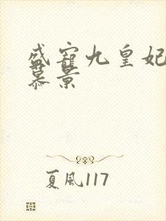 盛宠九皇妃轩辕慕景