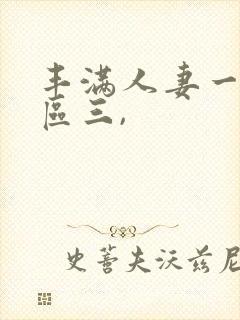 丰满人妻一区二区三,