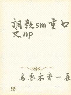 调教sm重口h文np封面