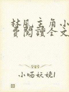 林风主角小说免费阅读全文无弹窗
