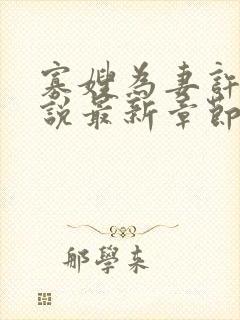 寡嫂为妻许冉小说最新章节更新内容